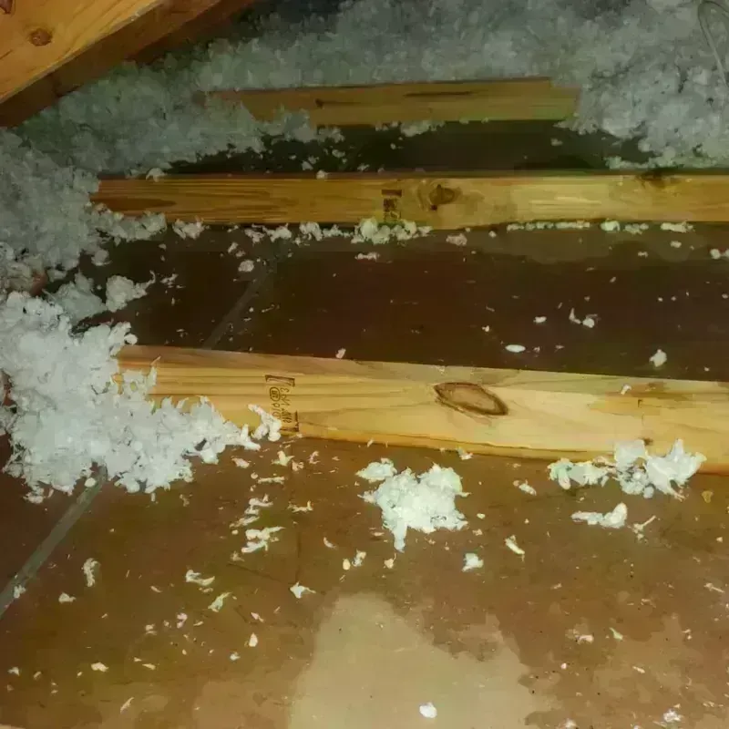 Attic Water Damage in Stevensville, MT